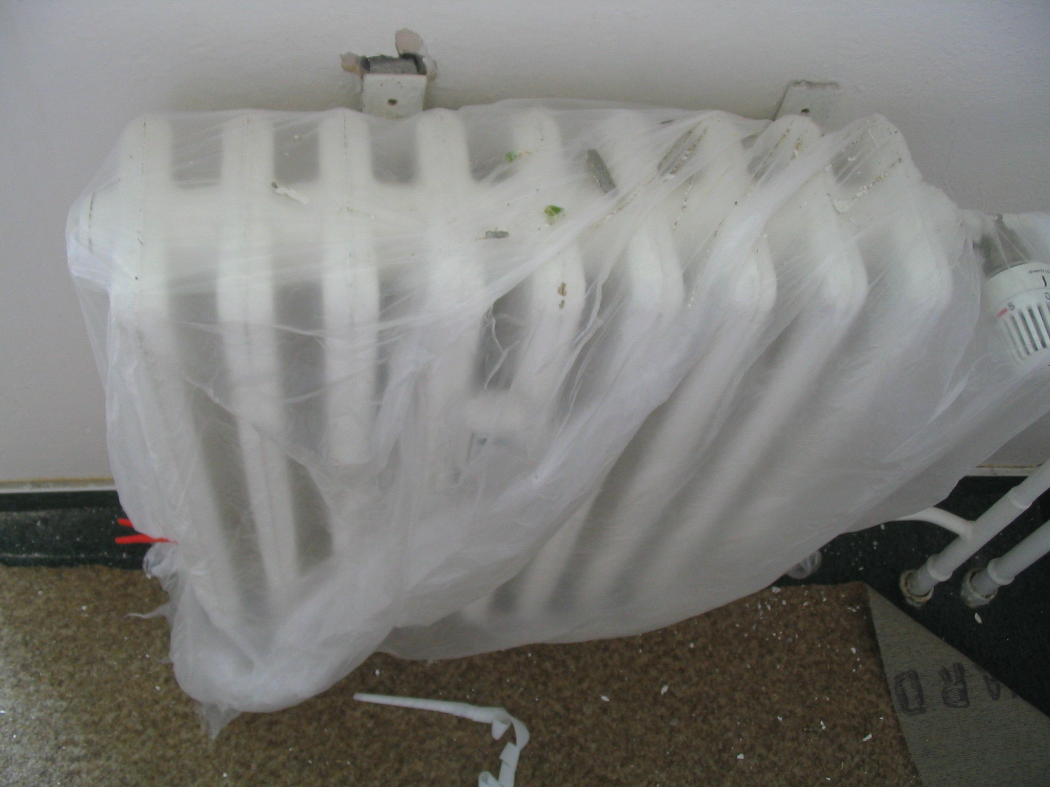05062008 722 Balte, balte .JPG