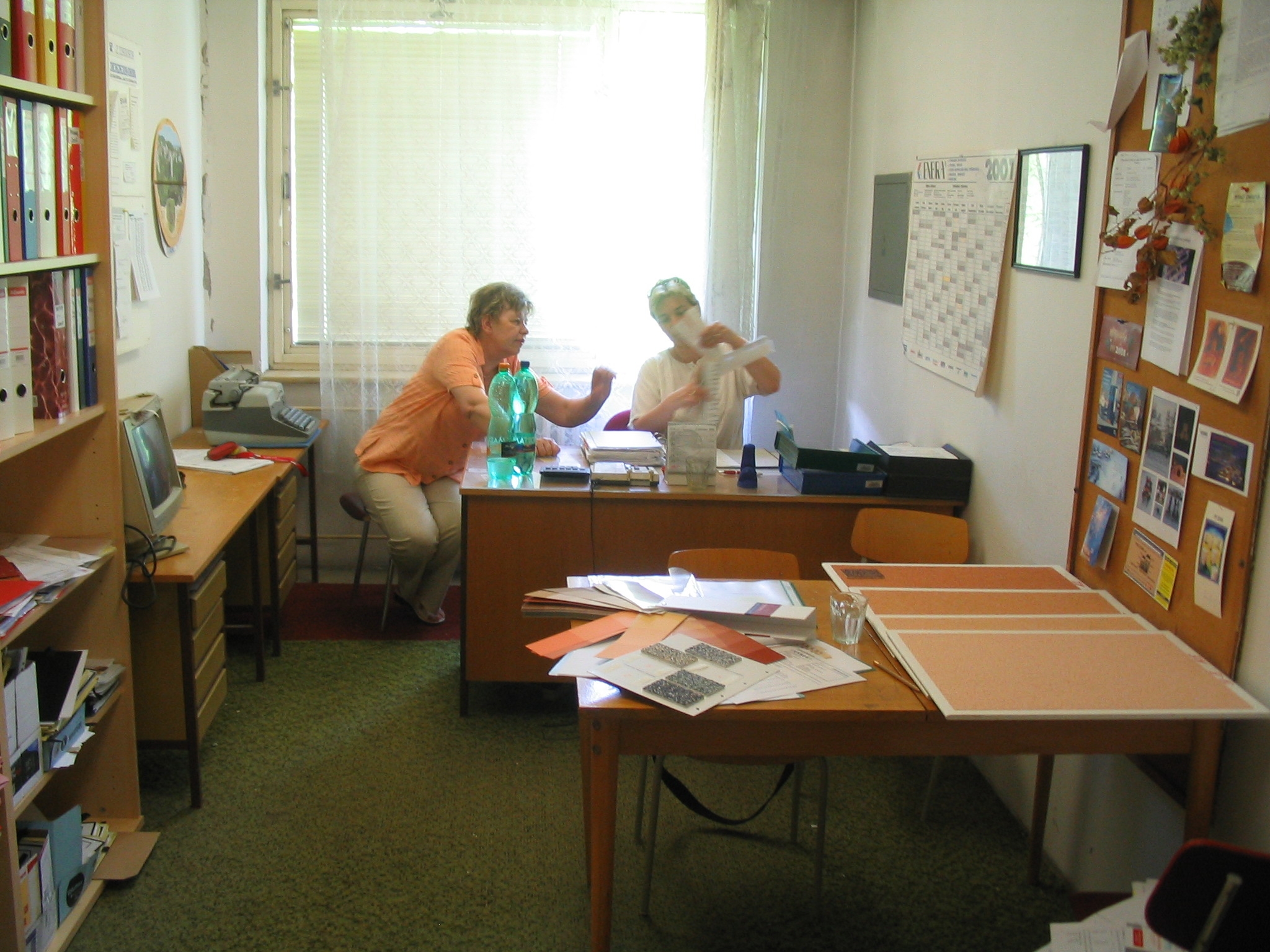 05062008705 Tak tahle barva je pěkná.JPG