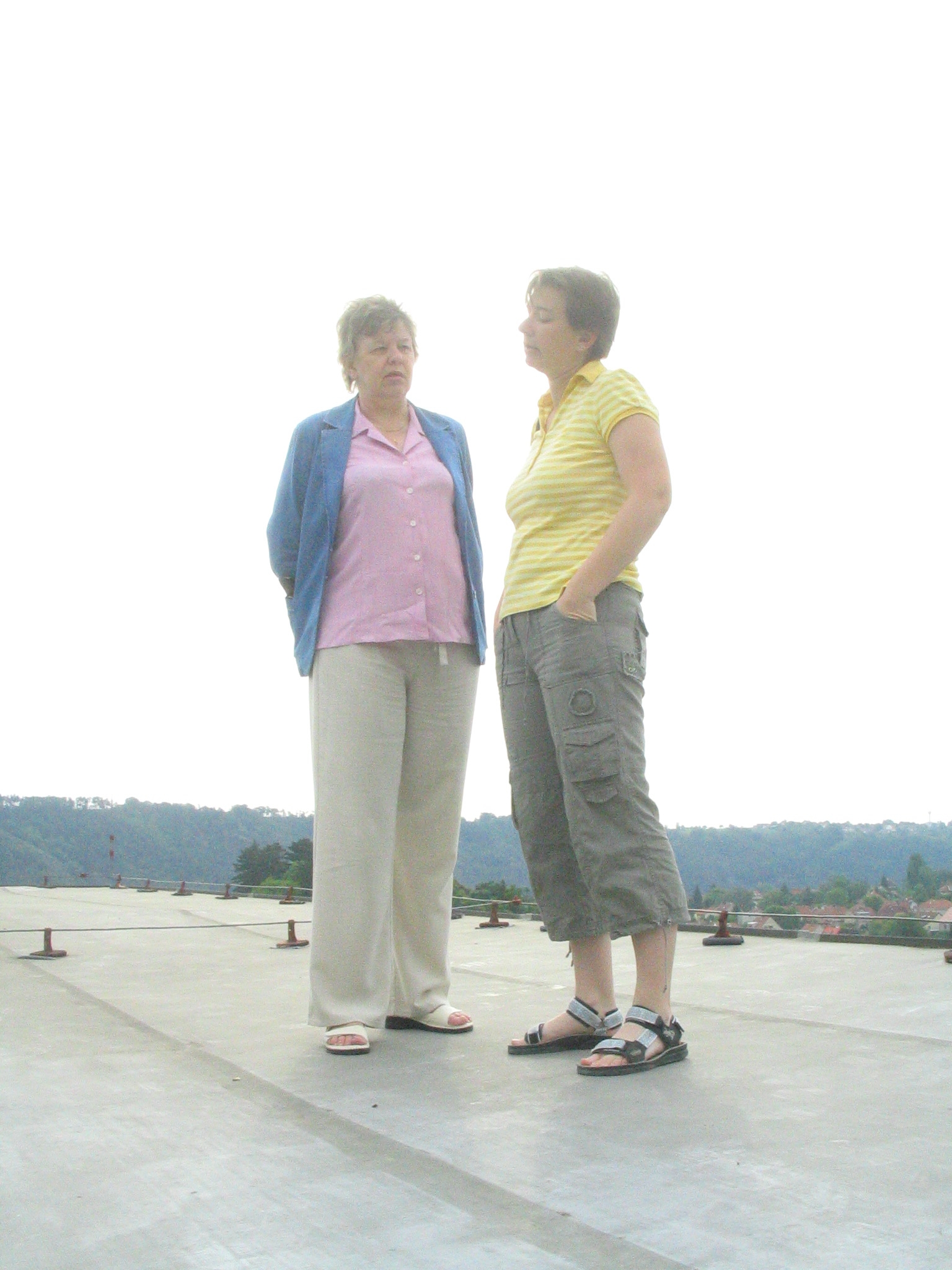 29052008 Kočky na rozpálené střeše.JPG