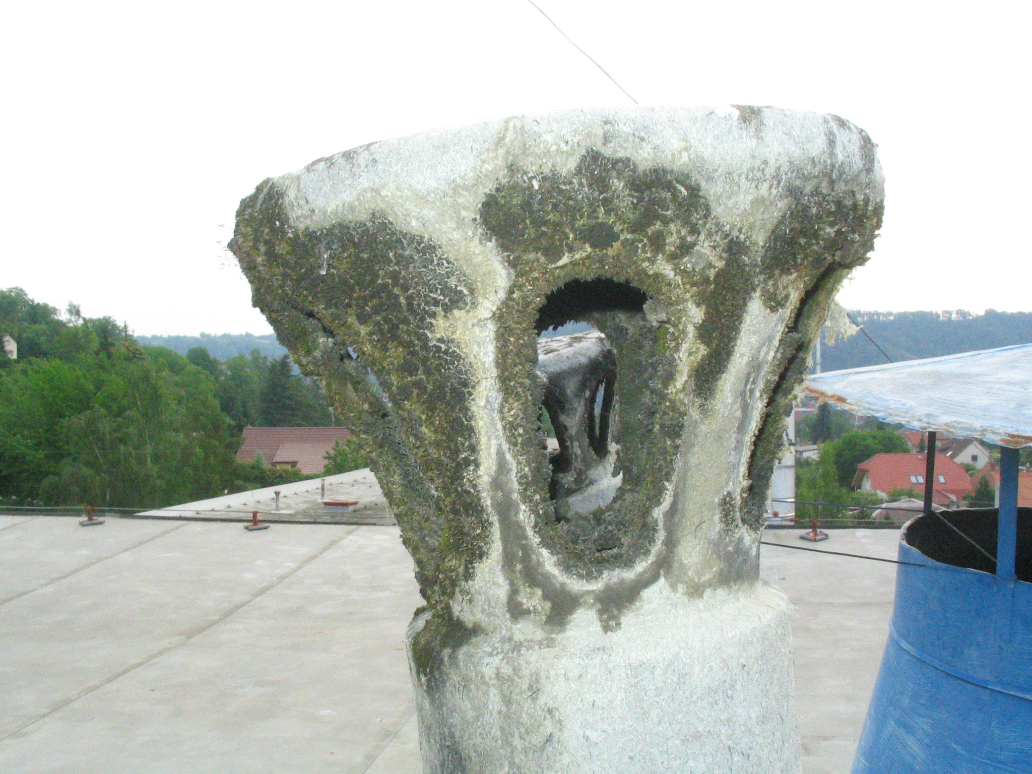 09062008 705 HOUBY2.jpg