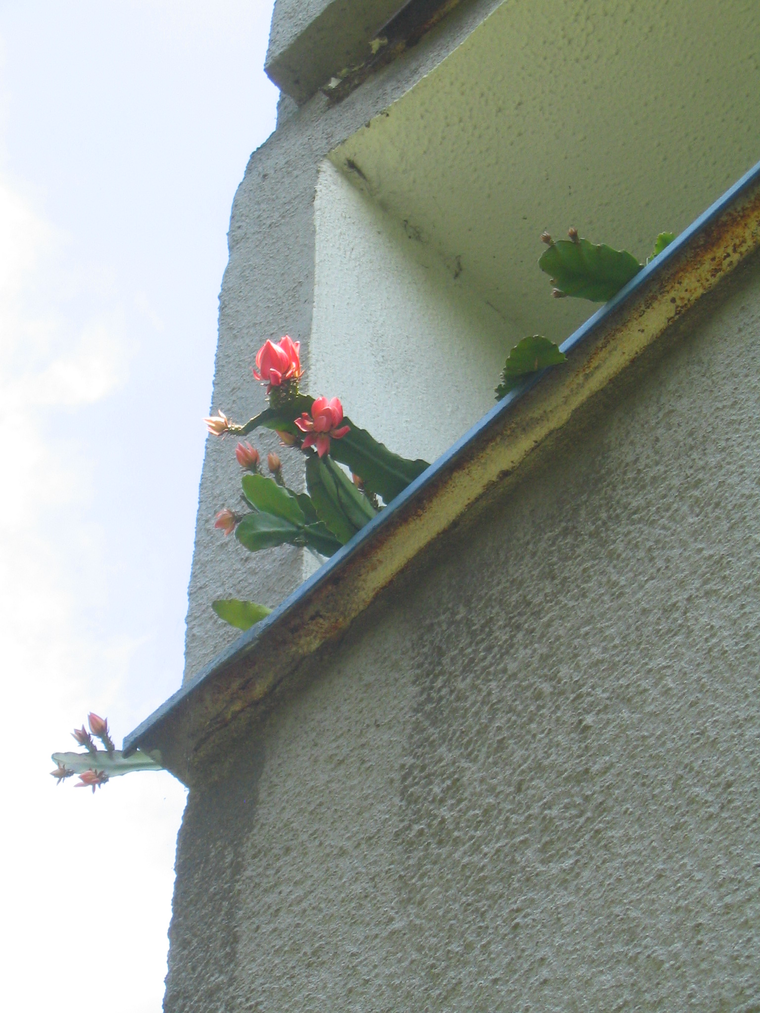 30062008 705 Jé, co to dole dělají.jpg
