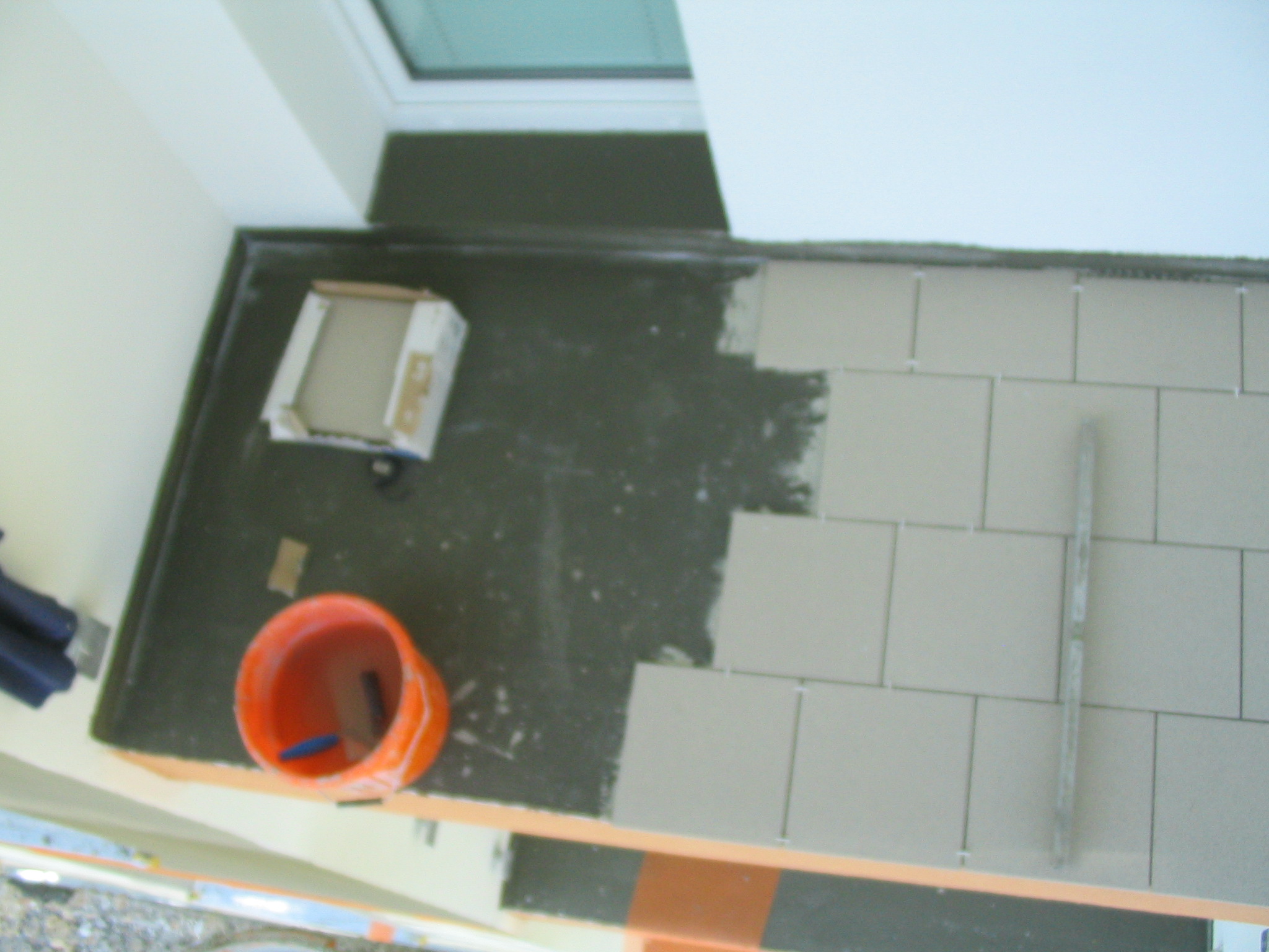 30062008 722 Nevada na lodžiích.jpg
