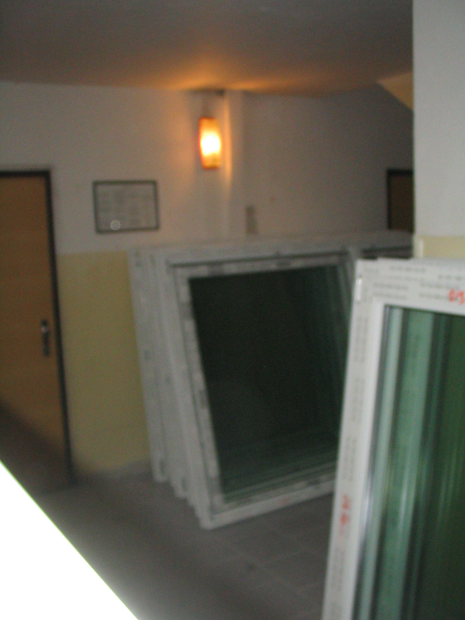 01072008 723 Zabydlela se u nás.jpg