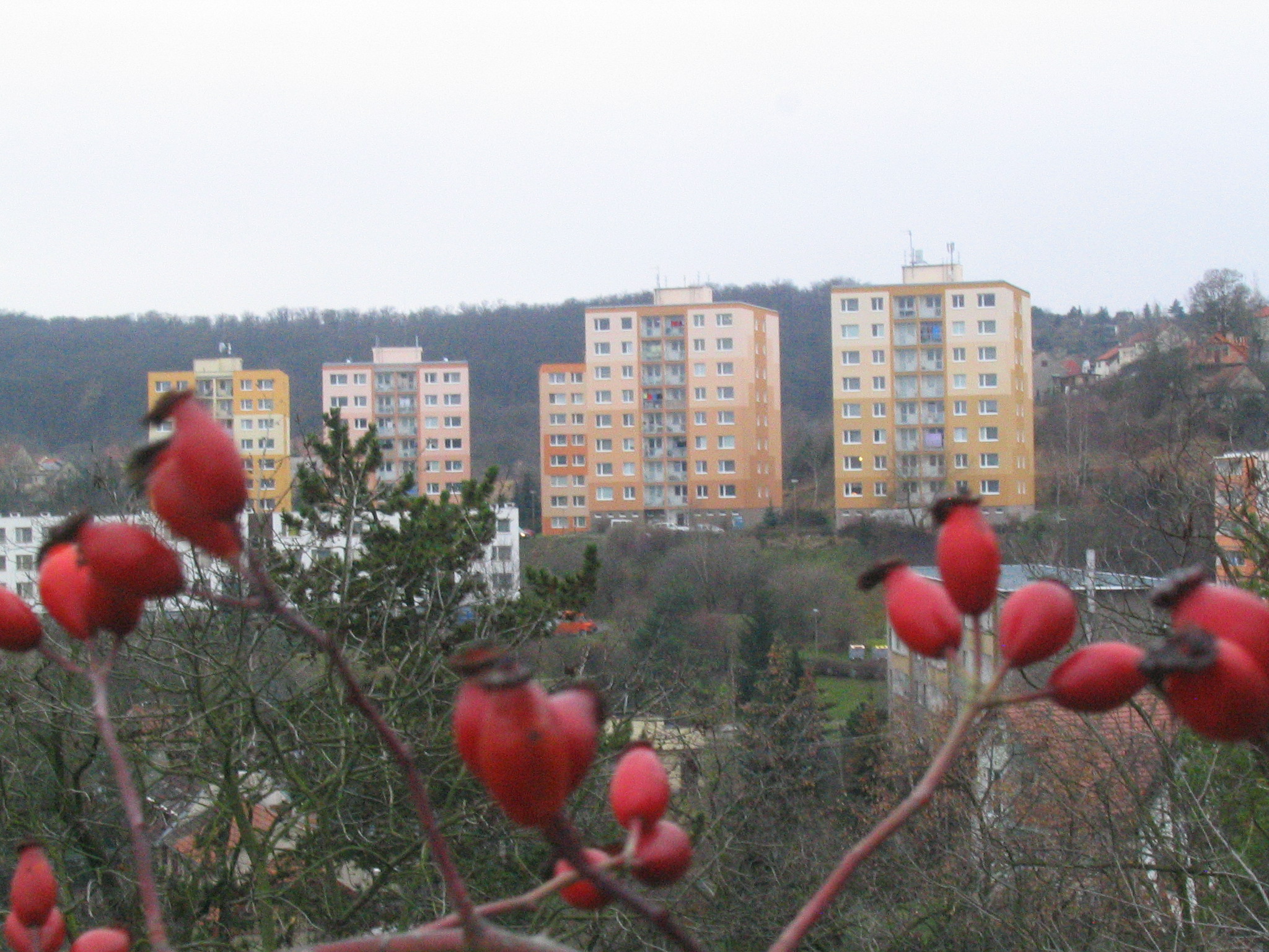 20081218a19 Když nás posílají k šípku