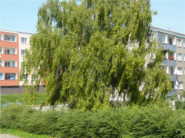 P1130029