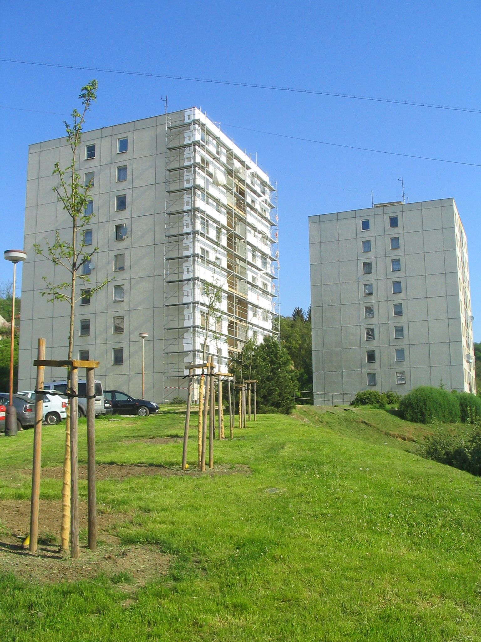 13052008 REKOSBD2008: Než nám zaroste výhled.JPG
